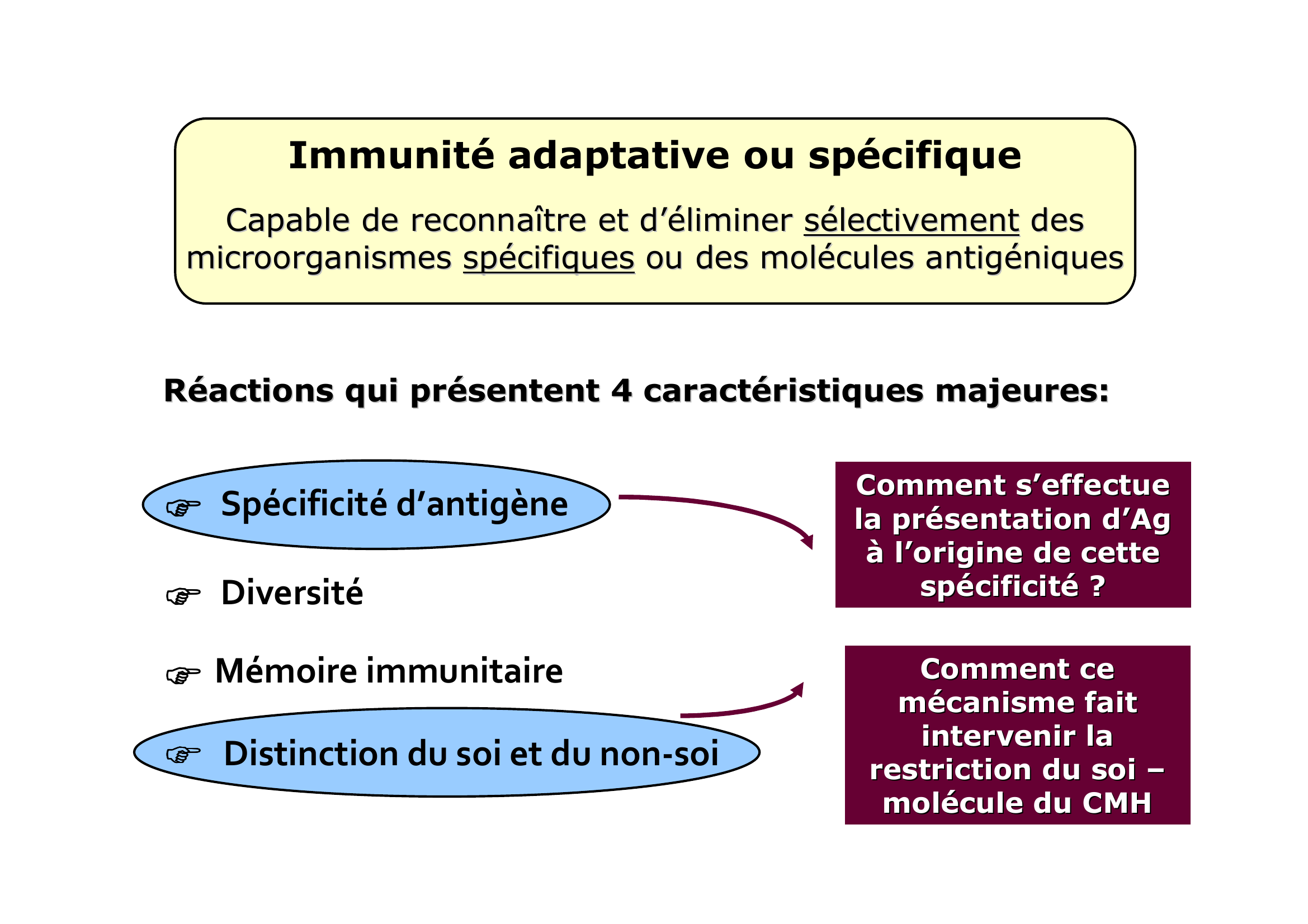 Prévisualisation du document Complexe Majeur d'Histocompatibilité (CMH) & Présentation d'antigènes