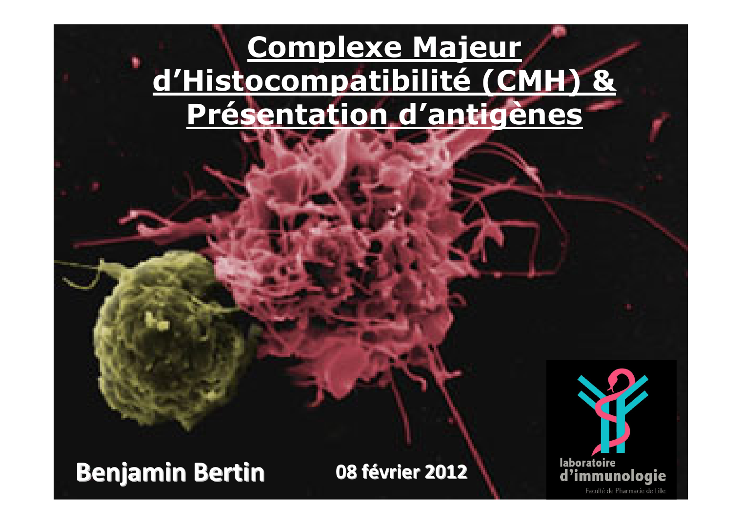 Prévisualisation du document Complexe Majeurd'Histocompatibilité (CMH) &Présentation d'antigènesBenjamin Bertin08 février 2012 Immunité adaptative ou