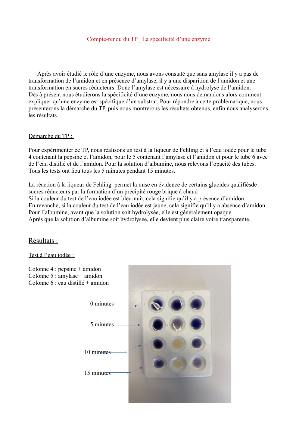 Prévisualisation du document Compte-rendu du TP_ La spécificité d’une enzyme