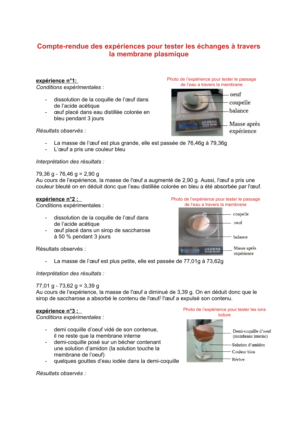 Prévisualisation du document Compte-rendue des expériences pour tester les échanges à travers la membrane plasmique