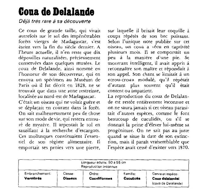 Prévisualisation du document Con de DelalandeDéjà très rare à sa découverte.