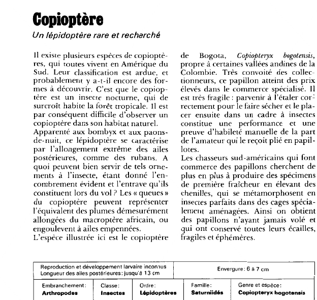 Prévisualisation du document Copioptère:Un lépidoptère rare et recherché.