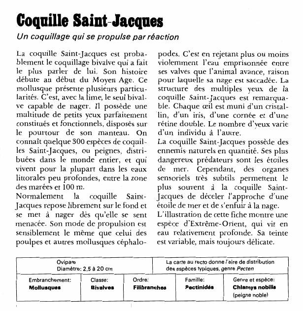 Prévisualisation du document Coquille Saint-Jacques:Un coquillage qui se propulse par réaction.