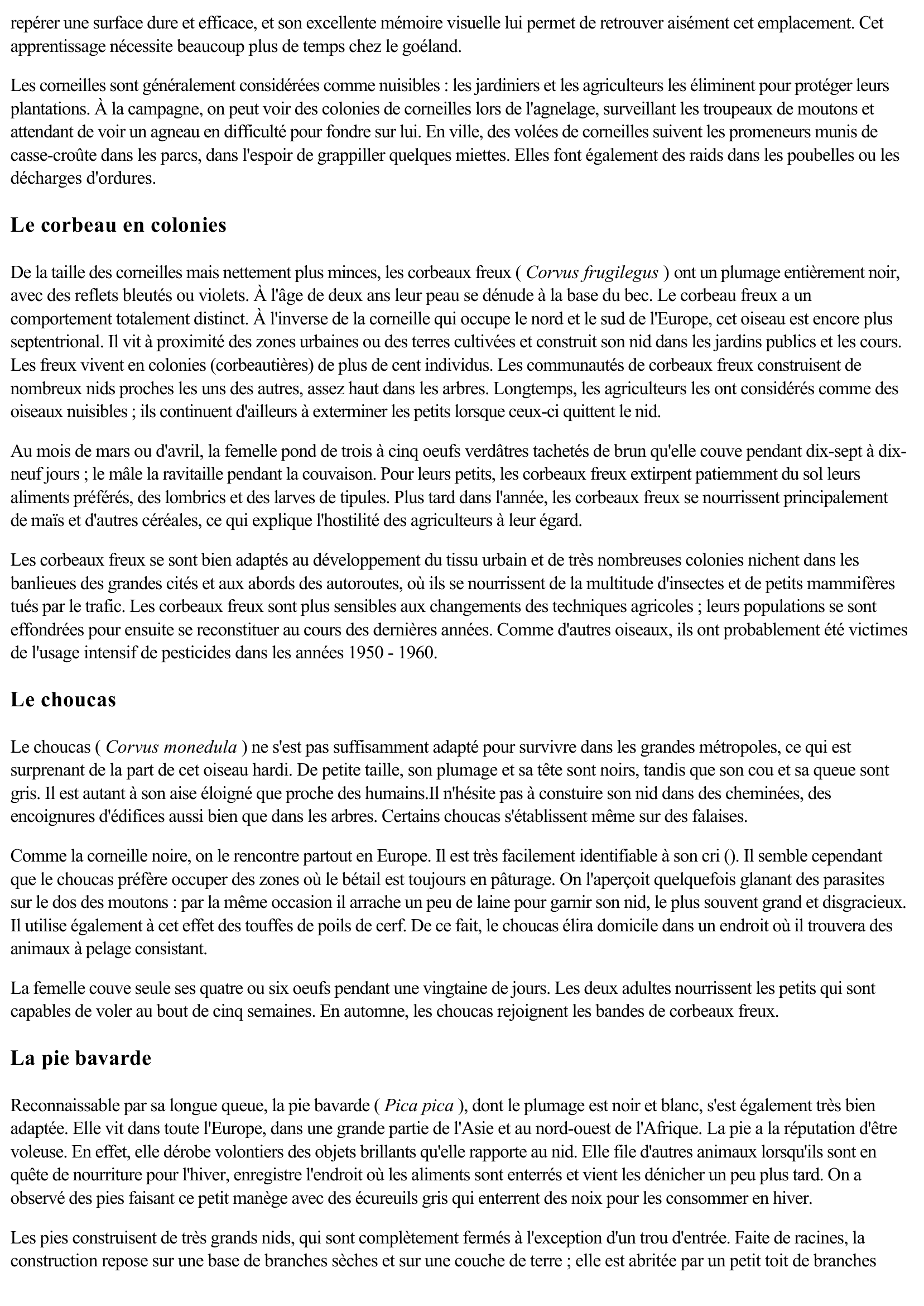 Prévisualisation du document Corbeaux et corvidés (Faune et Flore)