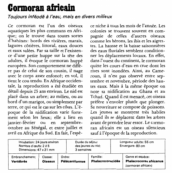 Prévisualisation du document Cormoran africain:Toujours inféodé à l'eau, mais en divers milieux.