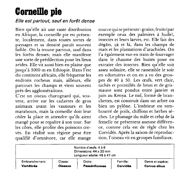 Prévisualisation du document Corneille pie:Elle est partout, sauf en forêt dense.