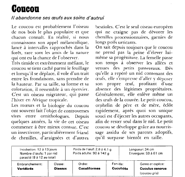 Prévisualisation du document Coucou:Il abandonne ses œufs aux soins d'autrui.