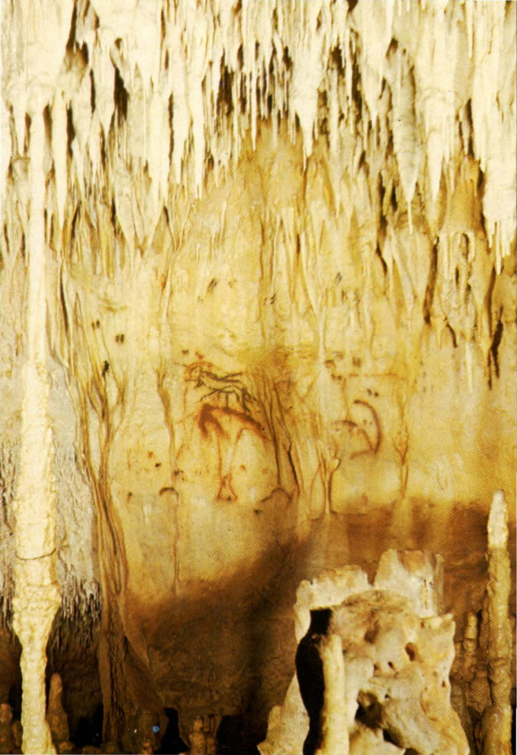 Prévisualisation du document COUGNAC
Grotte de:
Mammouth, homme
et signes divers (analyse du tableau).