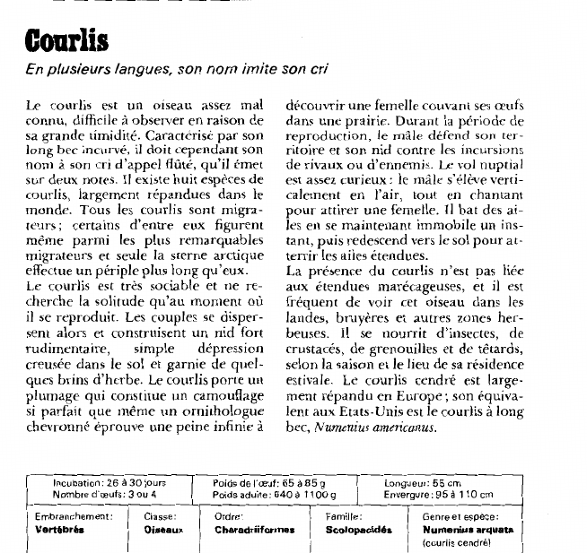 Prévisualisation du document Courlis:En plusieurs langues, son nom imite son cri.