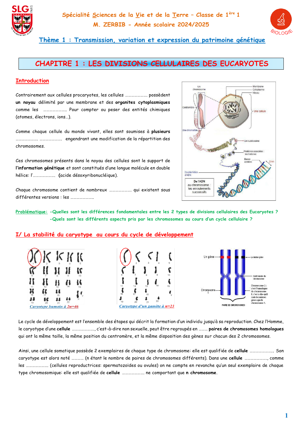 Prévisualisation du document Cours 1ere spé division cellulaire