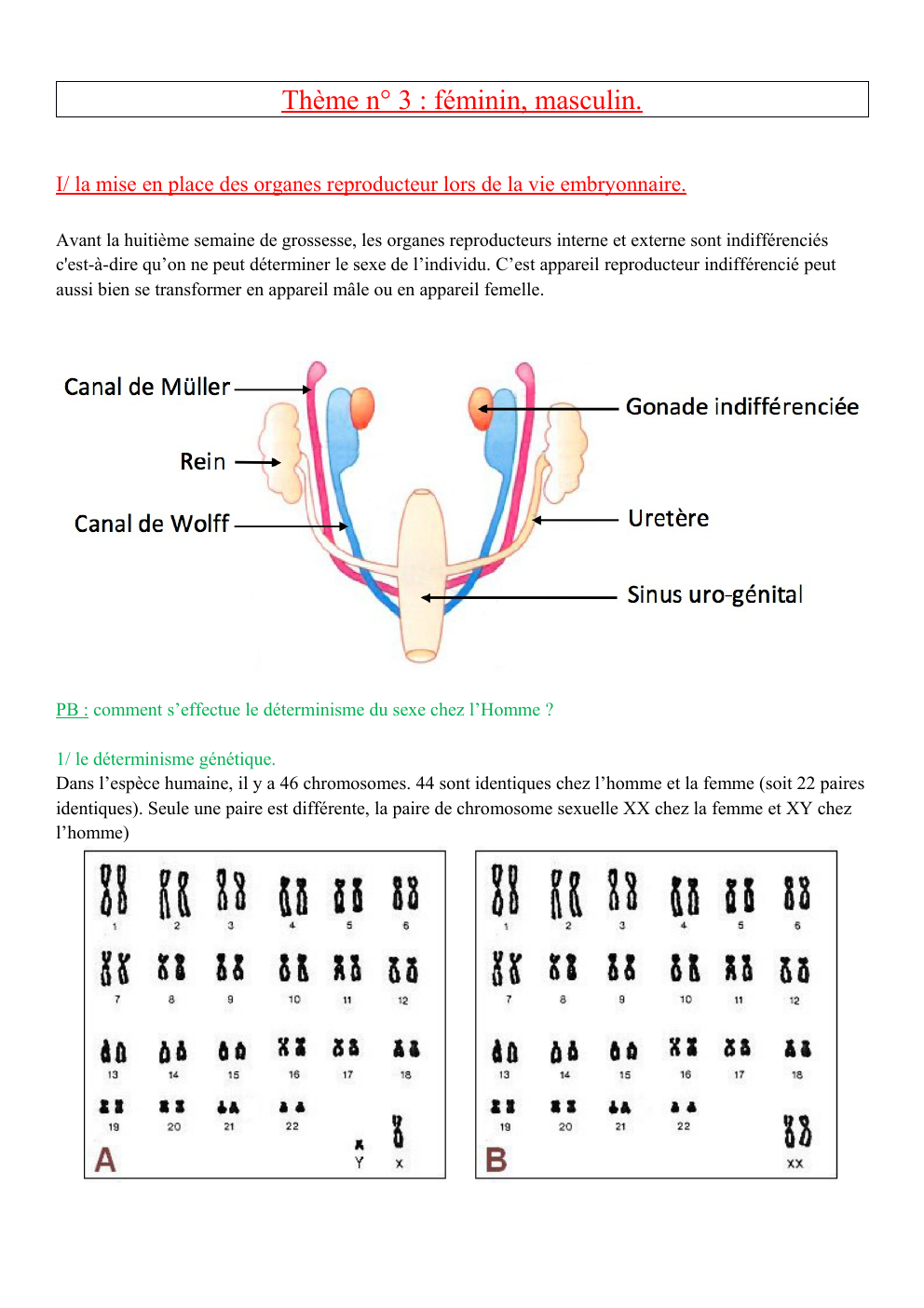 Prévisualisation du document Cours reproduction seconde