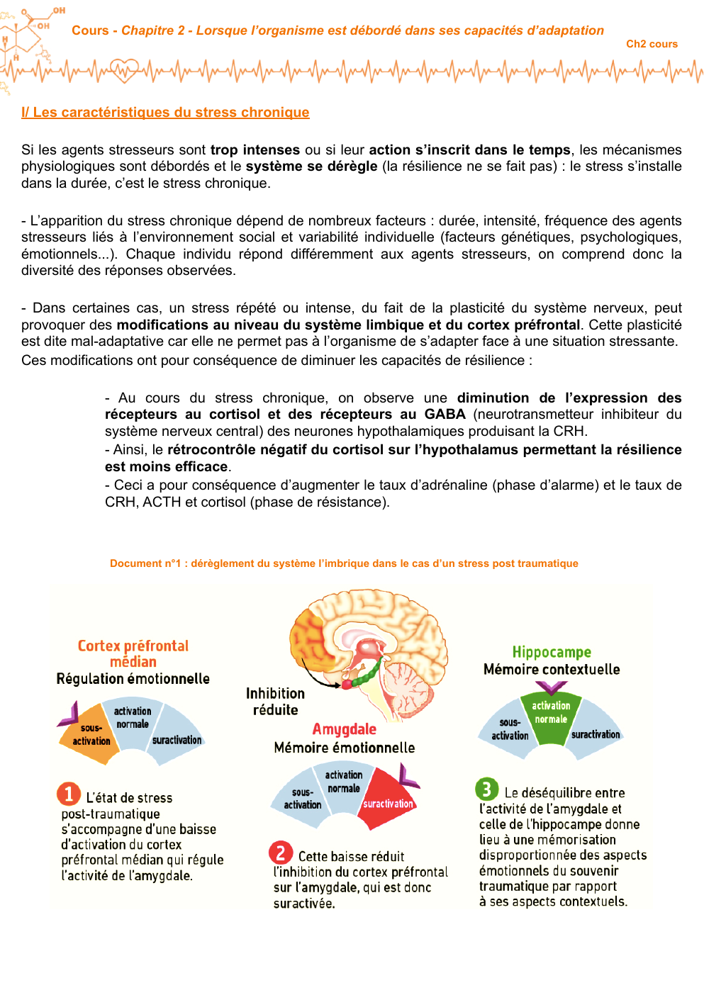 Prévisualisation du document cours svt Les caractéristiques du stress chronique