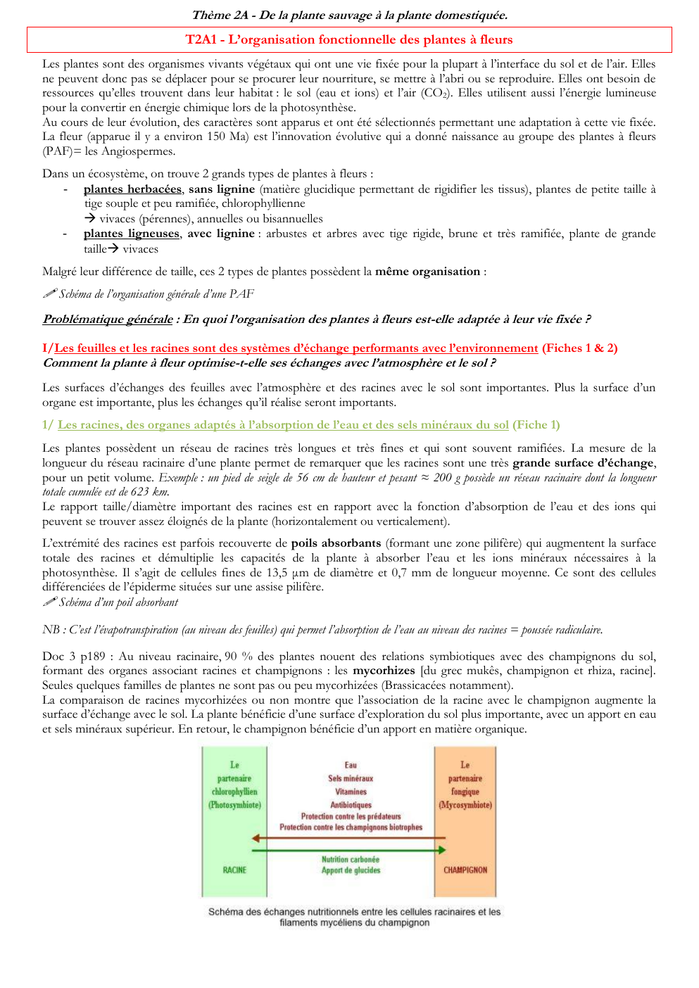 Prévisualisation du document Cours svt Thème 2A - De la plante sauvage à la plante domestiquée.