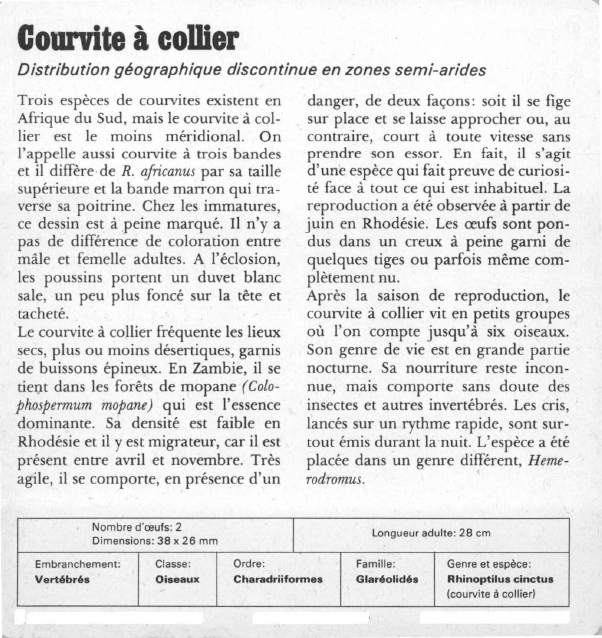 Prévisualisation du document Courvite à collier:Distribution géographique discontinue en zones semi-arides.