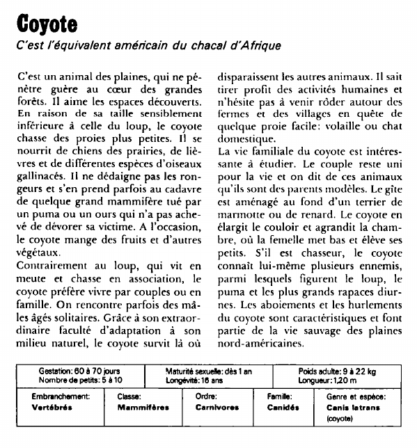 Prévisualisation du document Coyote:C'est l'équivalent américain du chacal d'Afrique.