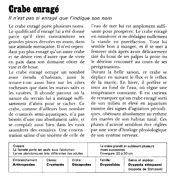 Prévisualisation du document Crabe enragé:Il n'est pas si enragé que l'indique son nom.