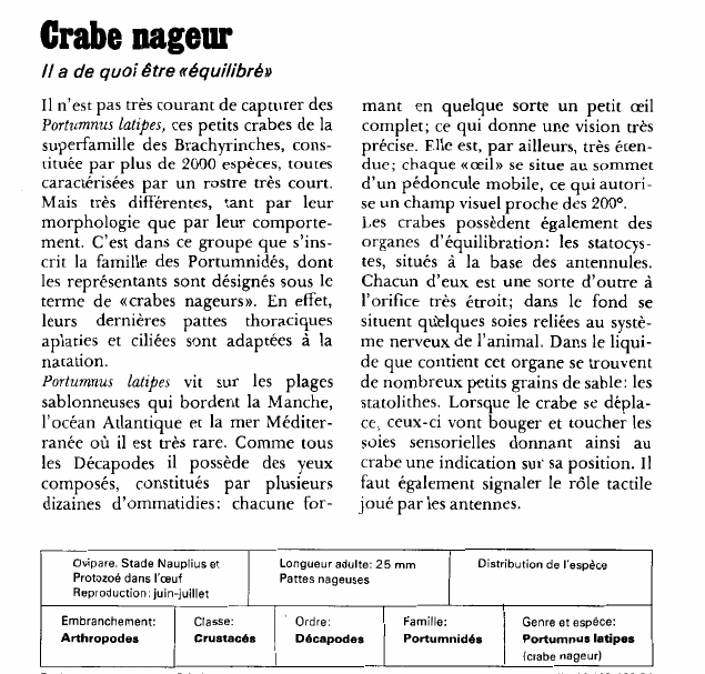 Prévisualisation du document Crabe nageur:Il a de quoi être «équilibré».