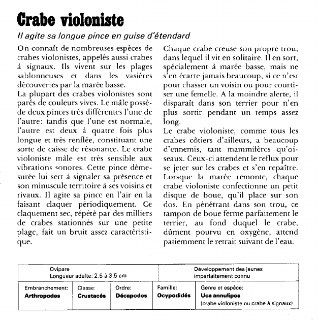 Prévisualisation du document Crabe violoniste:Il agite sa longue pince en guise d'étendard.