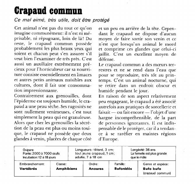 Prévisualisation du document Crapaud commun:Ce mal aimé, très utile, doit être protégé.