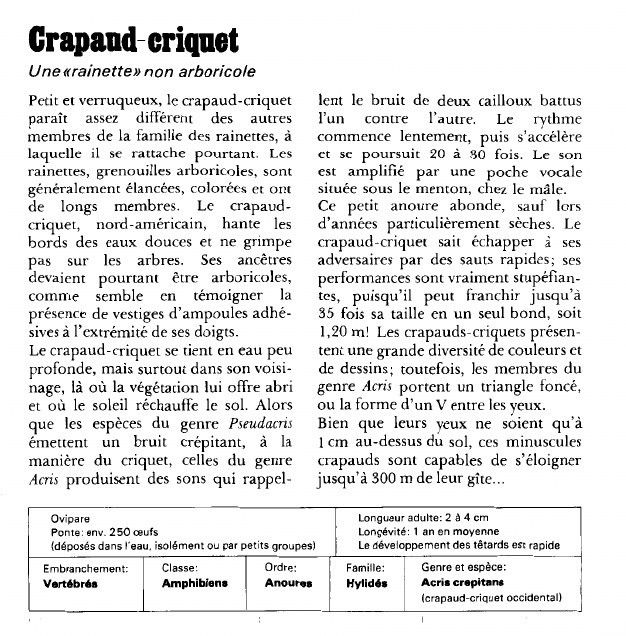 Prévisualisation du document Crapaud-criquet:Une «rainette» non arboricole.