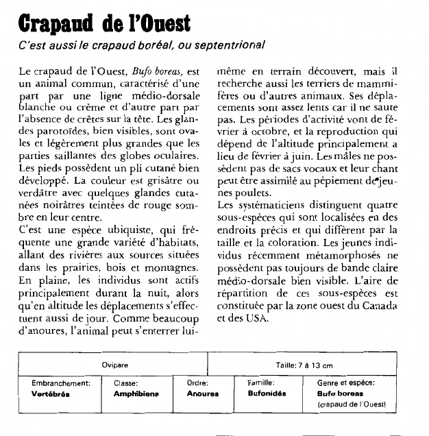 Prévisualisation du document Crapaud de l'Ouest:C'est aussi le crapaud boréal, ou septentrional.