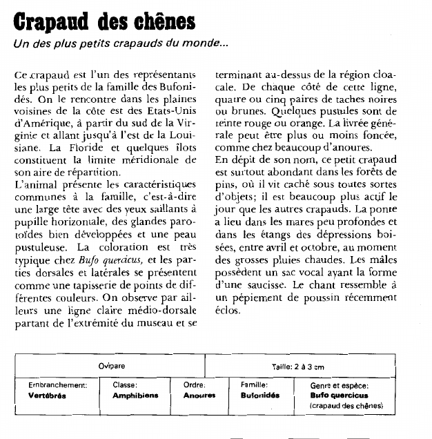 Prévisualisation du document Crapaud des chênes:Un des plus petits crapauds du monde.