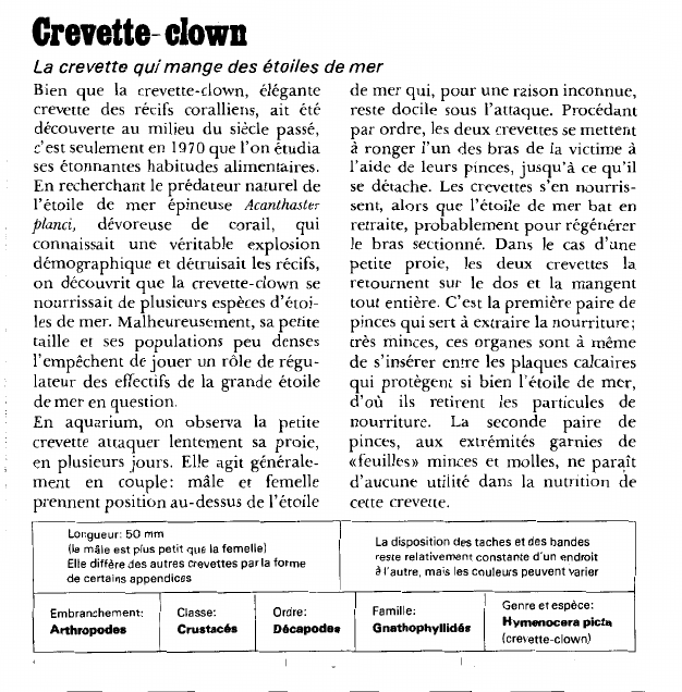 Prévisualisation du document Crevette- clown:La crevette qui mange des étoiles de mer.