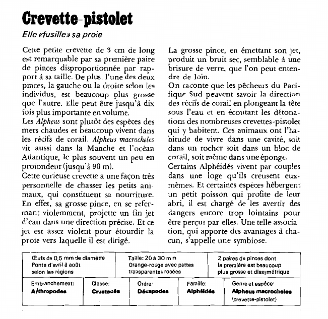 Prévisualisation du document Crevette-pistolet:Elle «fusille» sa proie.