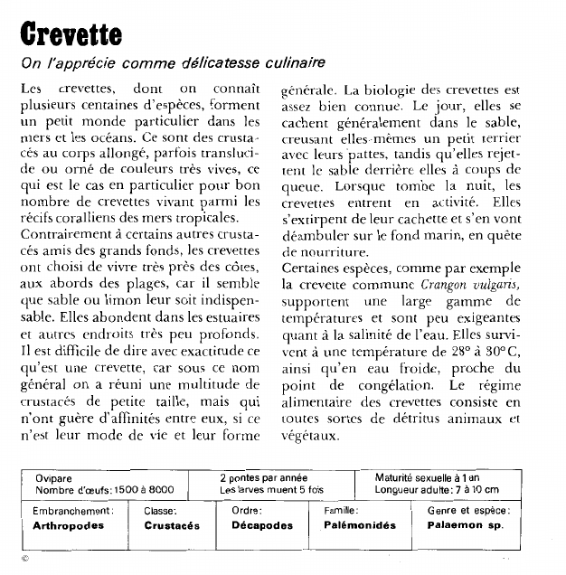 Prévisualisation du document Crevette:On l'apprécie comme délicatesse culinaire.