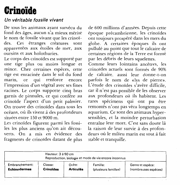Prévisualisation du document Crinoïde:Un véritable fossile vivant.