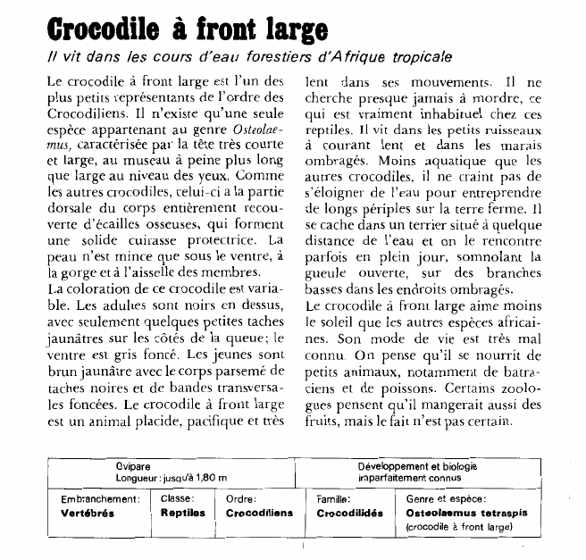 Prévisualisation du document Crocodile à front large:vit dans les cours d'eau forestiers d'Afrique tropicale.