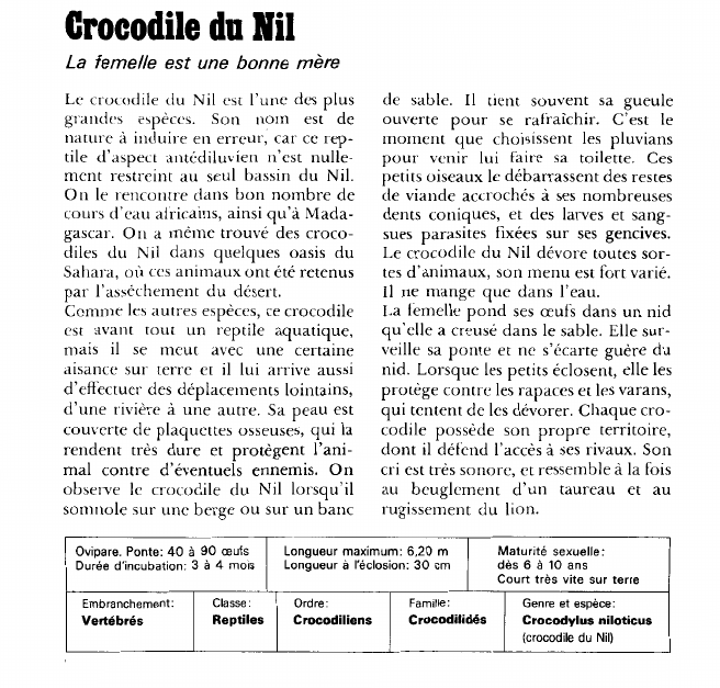 Prévisualisation du document Crocodile du Nil:La femelle est une bonne mère.