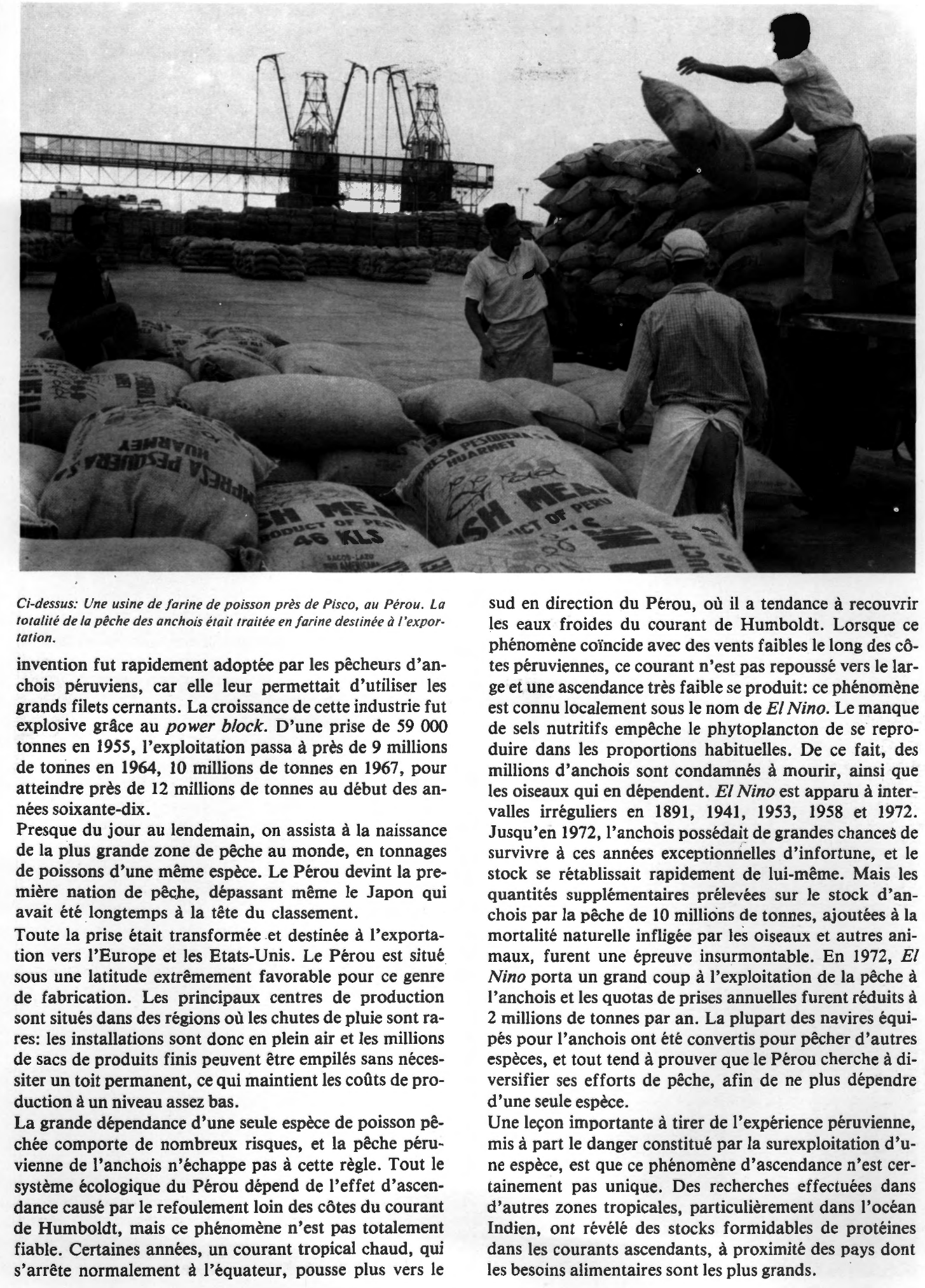 Prévisualisation du document Croissance et décadence d'une pêcherie - Le Pérou