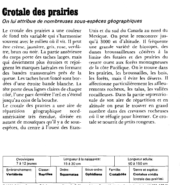 Prévisualisation du document Crotale des prairiesOn lui attribue de nombreuses sous-espèces géographiques.