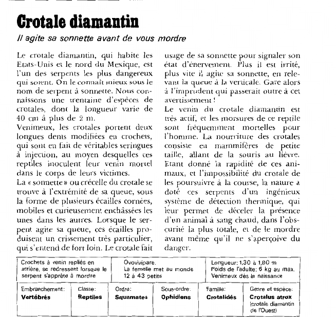 Prévisualisation du document Crotale diamantin:Il agite sa sonnette avant de vous mordre.