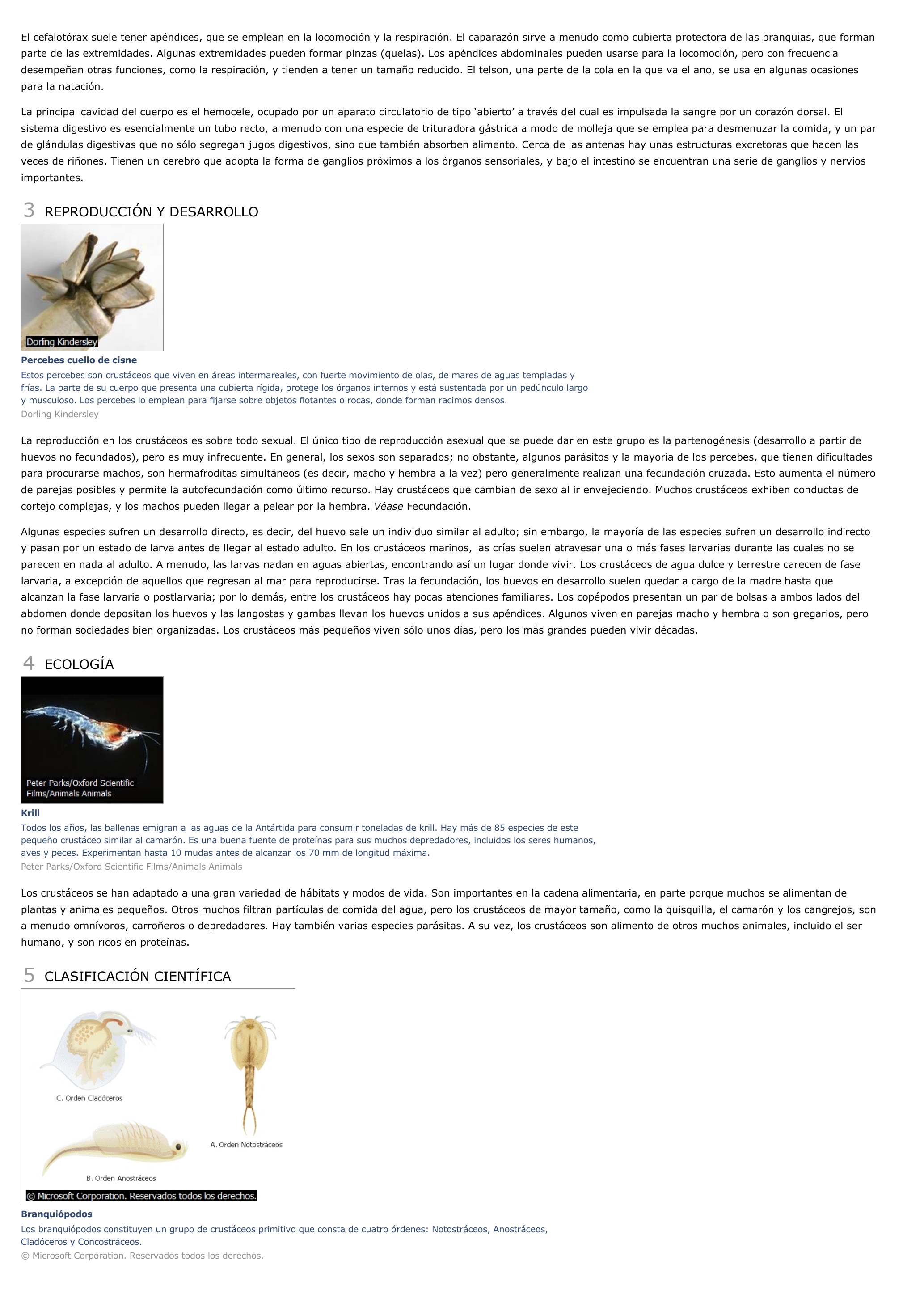 Prévisualisation du document Crustáceos - ciencias de la naturaleza.
