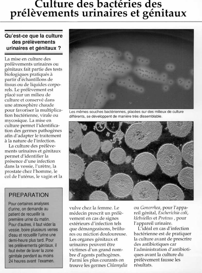 Prévisualisation du document Culture des bactéries desprélèvements urinaires et génitaux.
