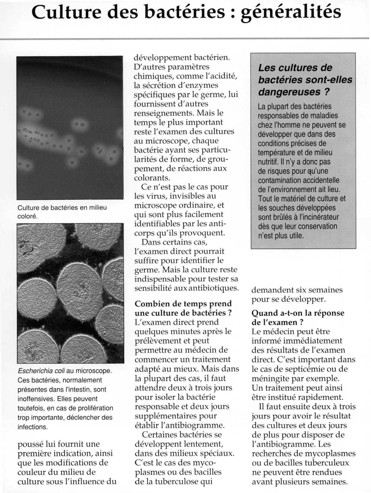 Prévisualisation du document Culture des bactéries : généralités.