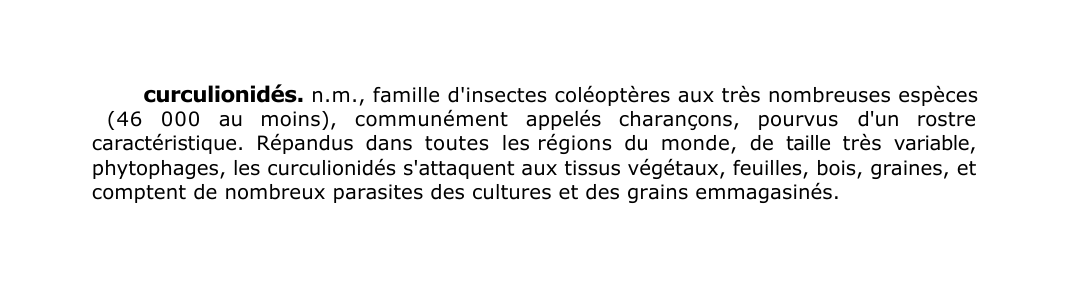 Prévisualisation du document curculionidés.