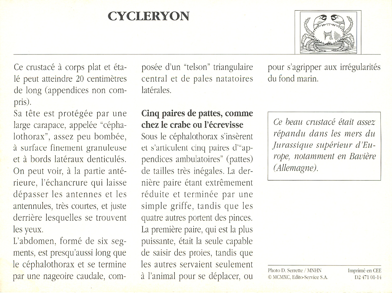 Prévisualisation du document CYCLERYON