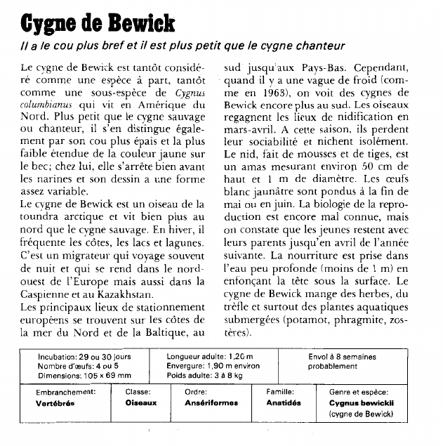 Prévisualisation du document Cygne de Bewick:Il a le cou plus bref et il est plus petit que le cygne chanteur.