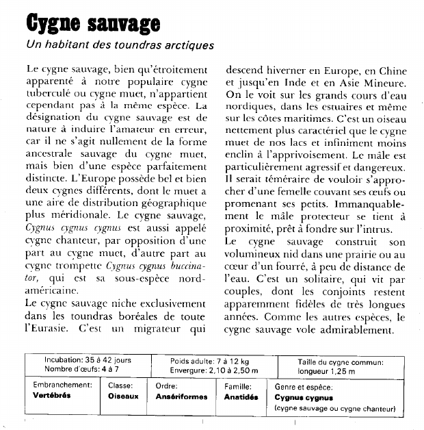 Prévisualisation du document Cygne sauvage:Un habitant des toundras arctiques.