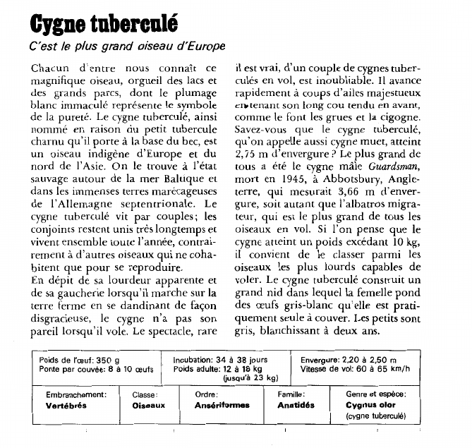 Prévisualisation du document Cygne tuberculé:C'est le plus grand oiseau d'Europe.