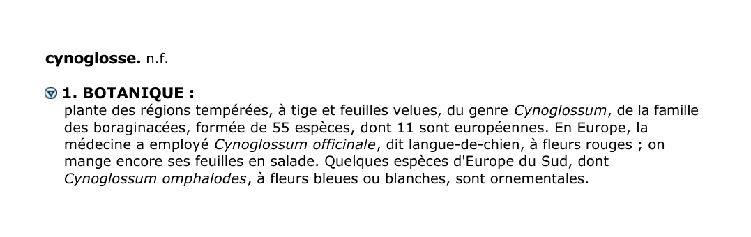 Prévisualisation du document cynoglosse.