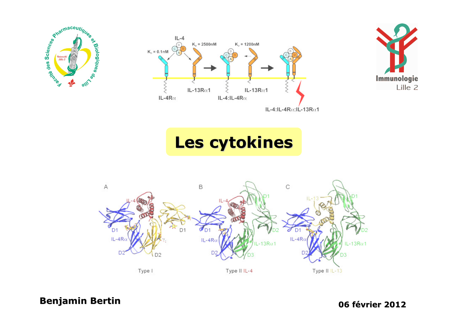 Prévisualisation du document CytokinesLes cytokinesBenjamin Bertin06 février 2012 But: définir et présenter les cytokines, leurs principales propriétés etactivités biologiques, leurs récepteurs et les voies de transduction du signalassociées, les utilisations des cytokines en thérapeutique.