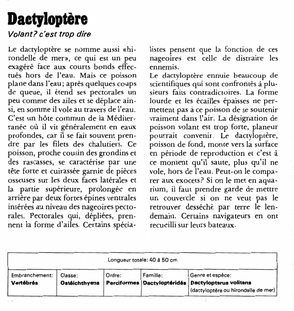 Prévisualisation du document DactyloptèreVolant?