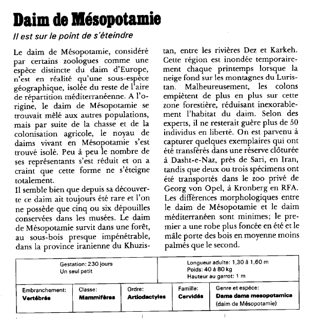 Prévisualisation du document Daim de Mésopotamie:Il est sur le point de s'éteindre.