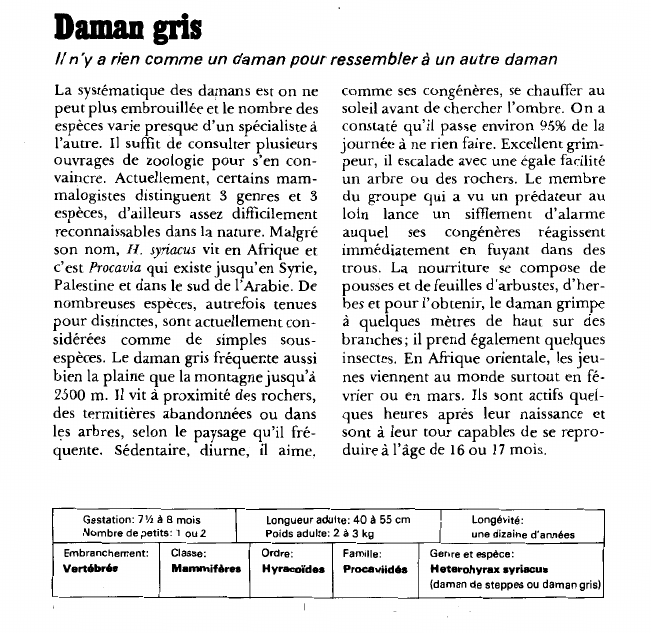 Prévisualisation du document Daman gris:Il n'y a rien comme un daman pour ressembler à un autre daman.