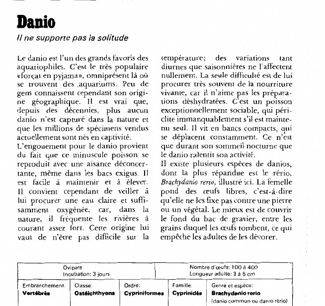 Prévisualisation du document Danio:Il ne supporte pas la solitude.