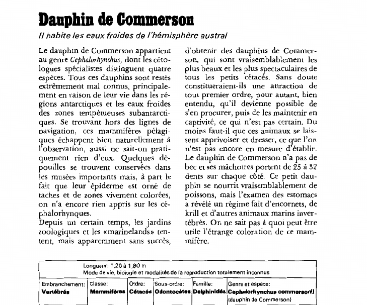 Prévisualisation du document Dauphin de CommersonIl habite les eaux froides de l'hémisphère australLe dauphin de Commerson appartient au genre Cephalorhynchus, dont les cétologues spécialistes distinguent quatre espèces.